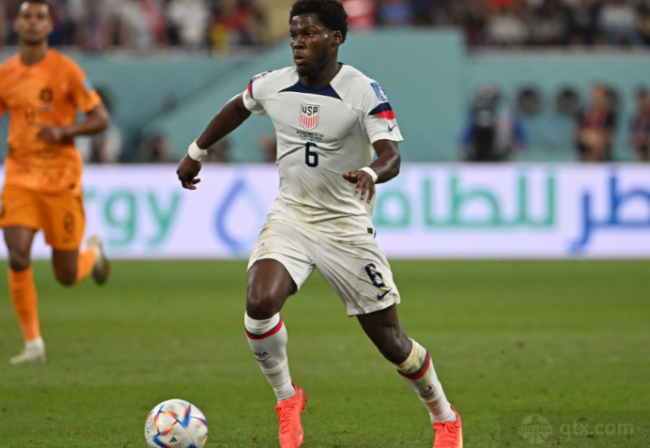 优化关键词 优化关键词